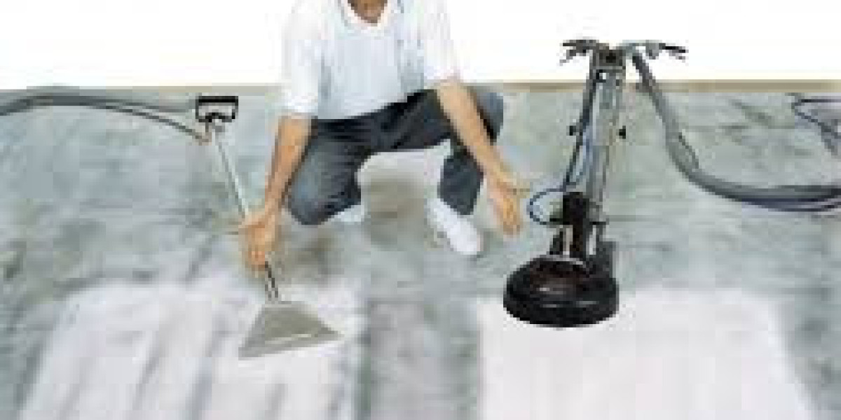 Professional Carpet Cleaning: A Must for Allergy-Free Homes