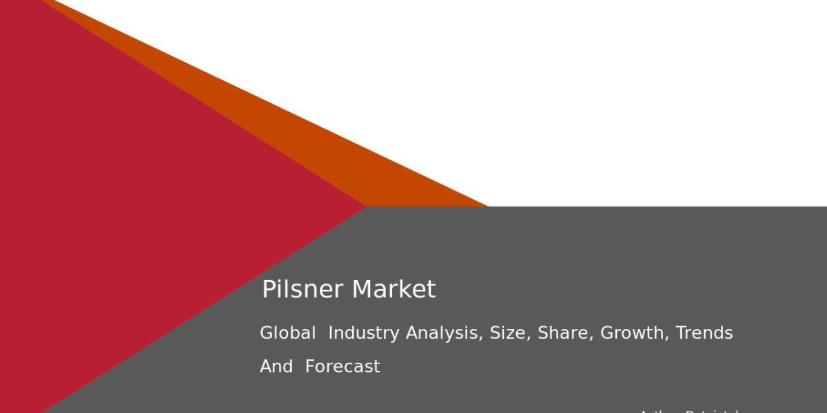 Pilsner Market Executive Insights 2032: Comprehensive Research and Forecasts