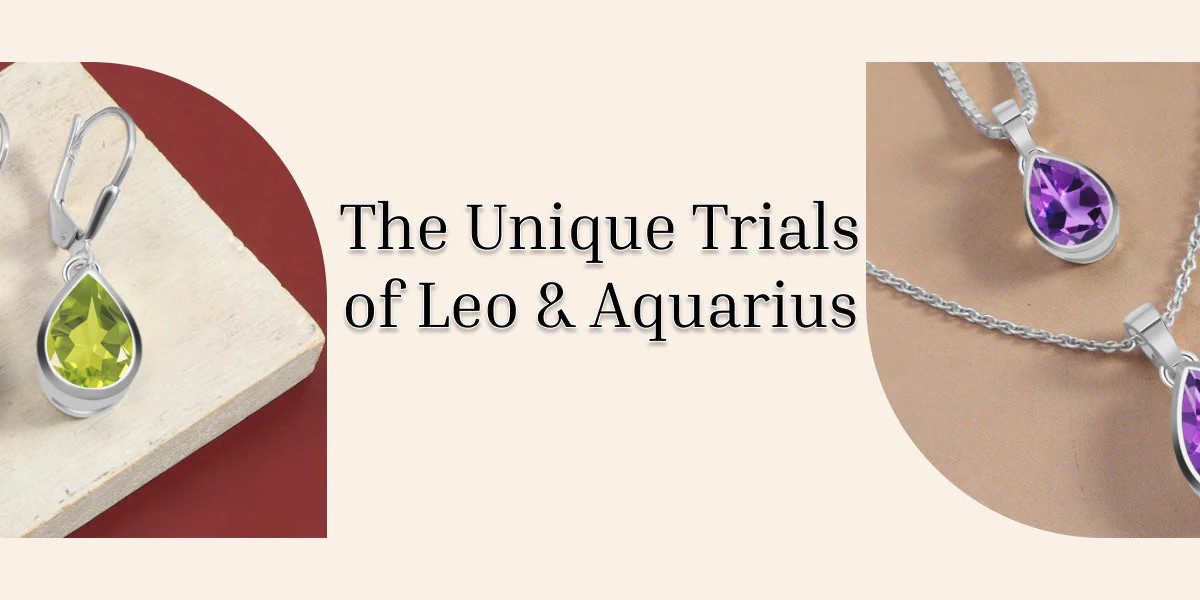 Cosmic Connection: The Fascinating Synergy of Leo and Aquarius