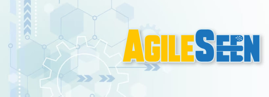 Agile Seen Cover Image