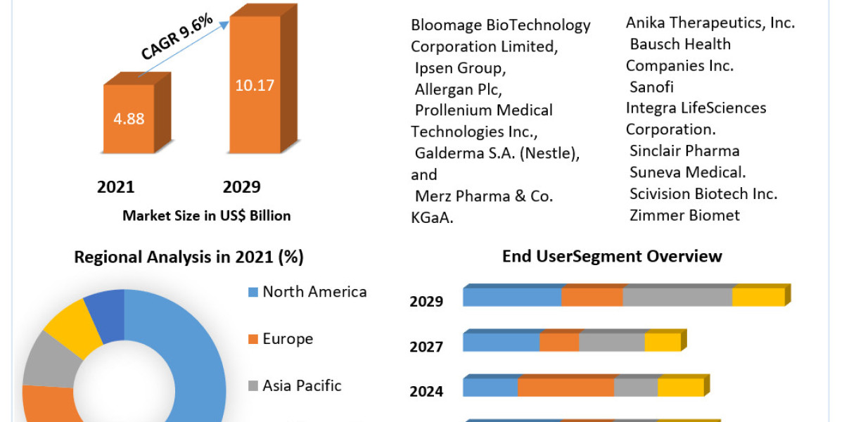 "Facial Injectables Market Analysis: From Hyaluronic Acid to Neurotoxins"