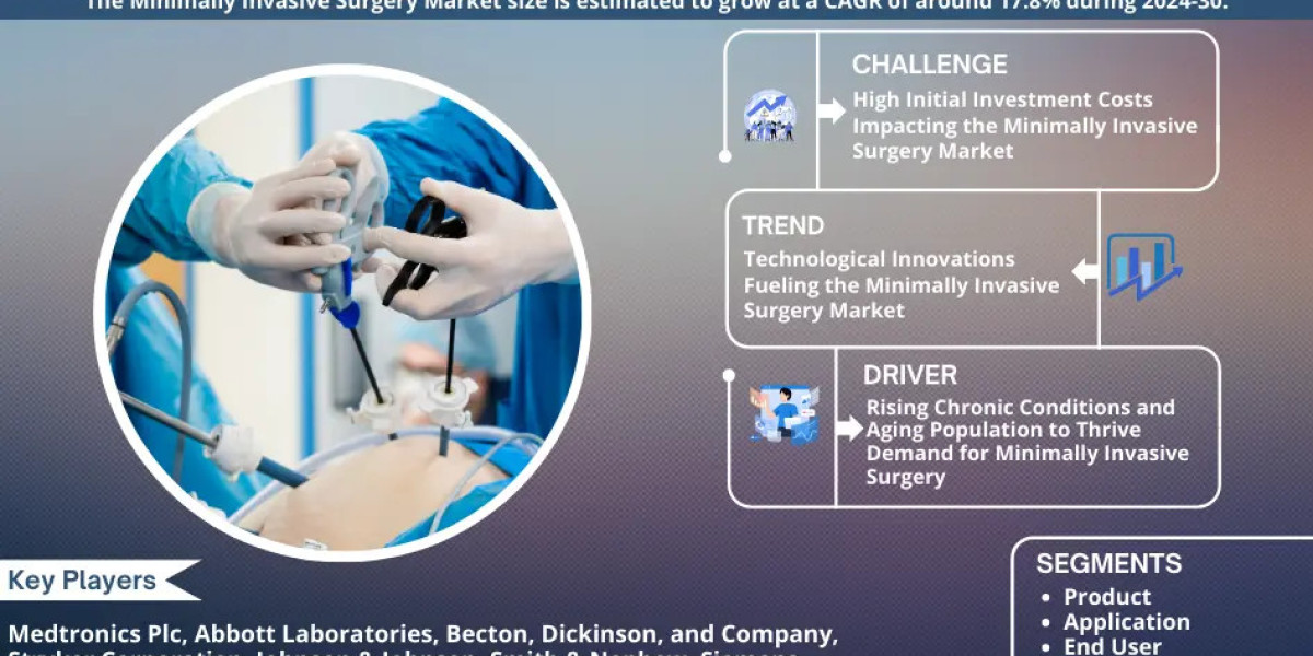 Minimally Invasive Surgery Estate Market Size, Share, Trends, Demand, Growth and Competitive Analysis