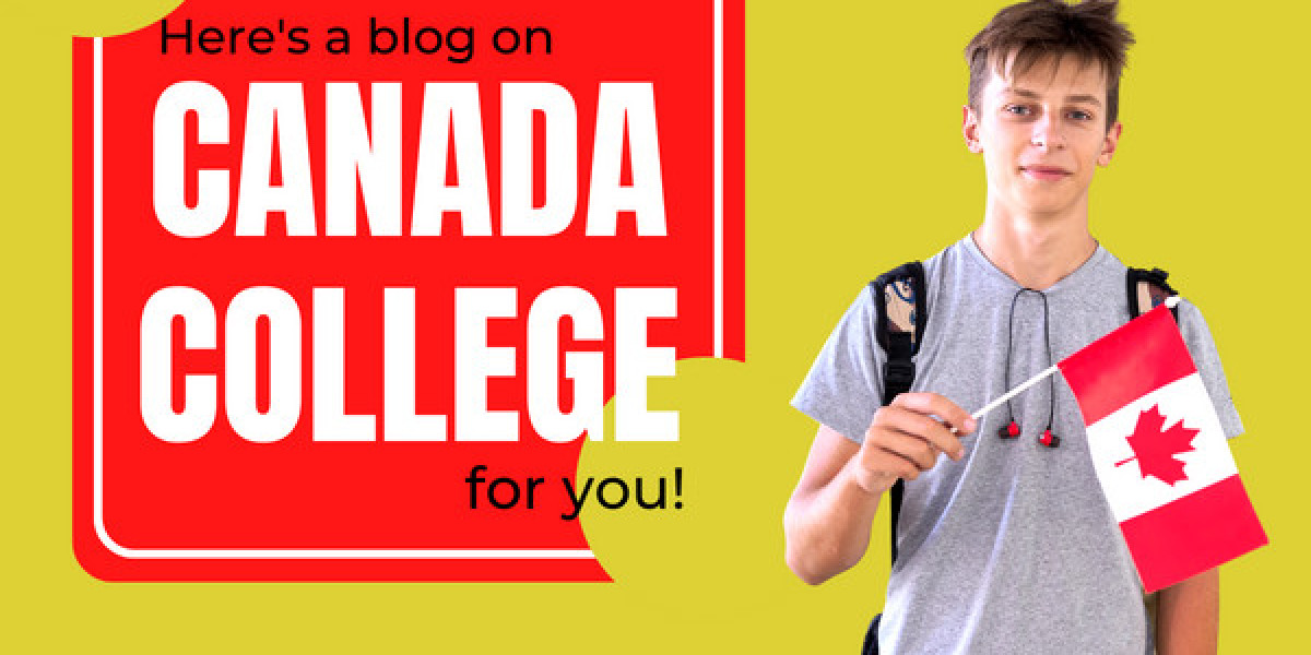 Pursuing a Bachelor's Degree in Canada: Your Comprehensive Guide