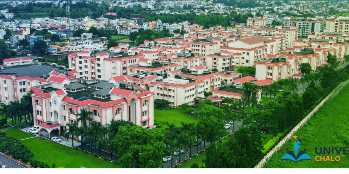 Top Reasons to Consider Uttaranchal University for Your Education