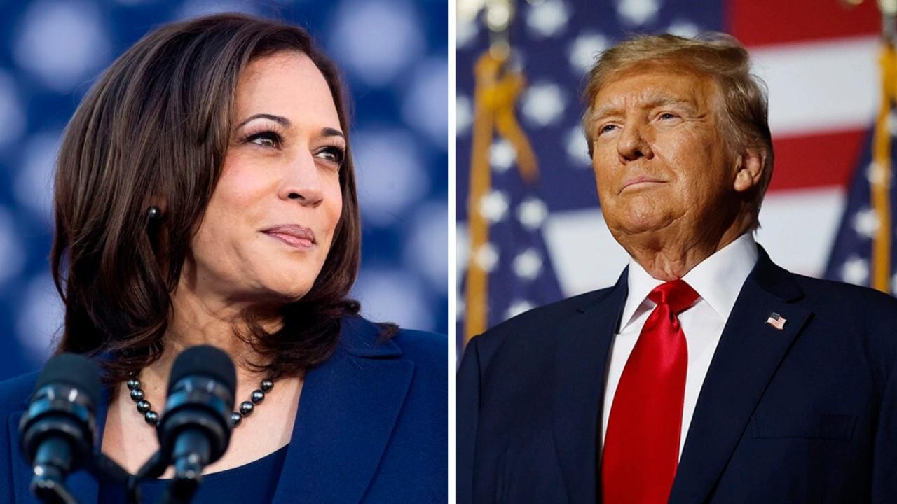 U.S. Election: Who Are Indian Americans Supporting, Kamala Harris Or Trump?