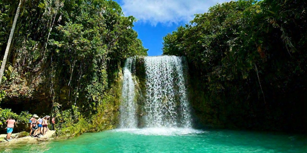 The Ultimate Jamaican Duo: Dunn’s River Falls and Dolphin Encounters