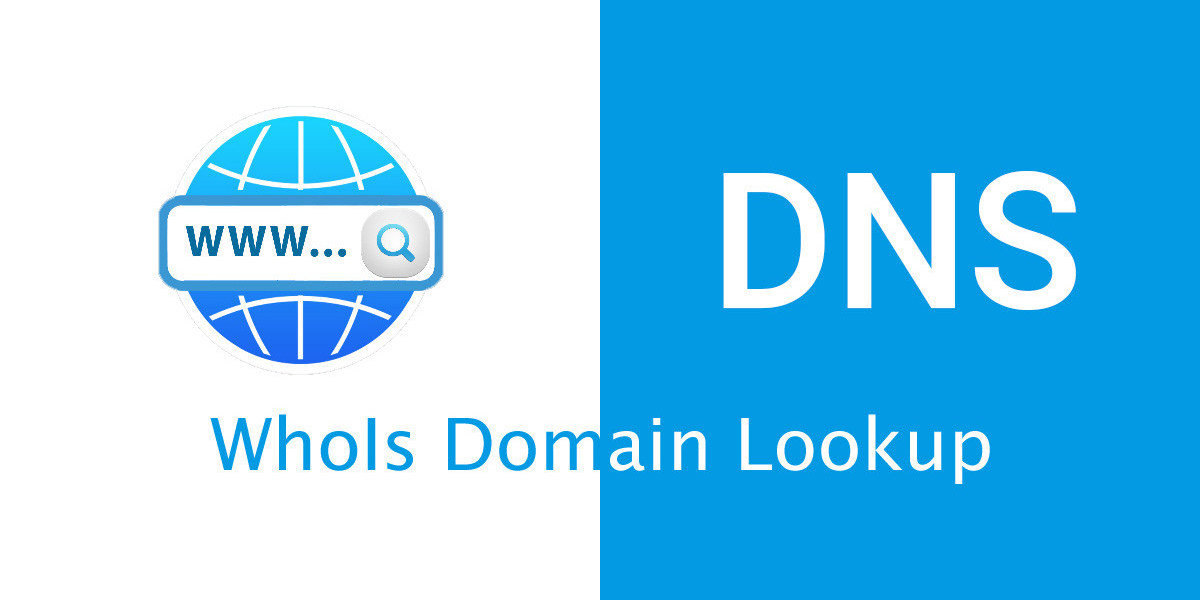 "Whois Domain Lookup: Understanding Its Role in Transparency and Cybersecurity"