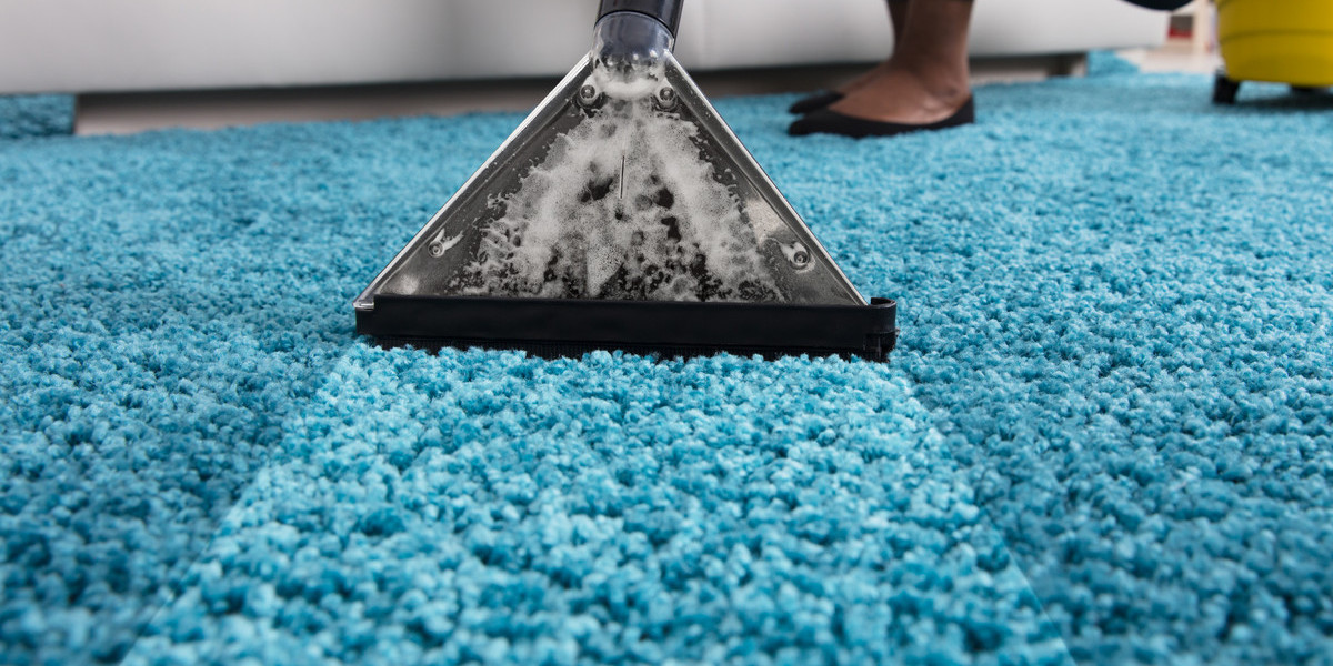 Pet Urine Carpet Cleaning Denver, CO: Effective Solutions by Ever Steam Carpet Cleaning LLC