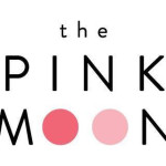 The Pink Moon Profile Picture