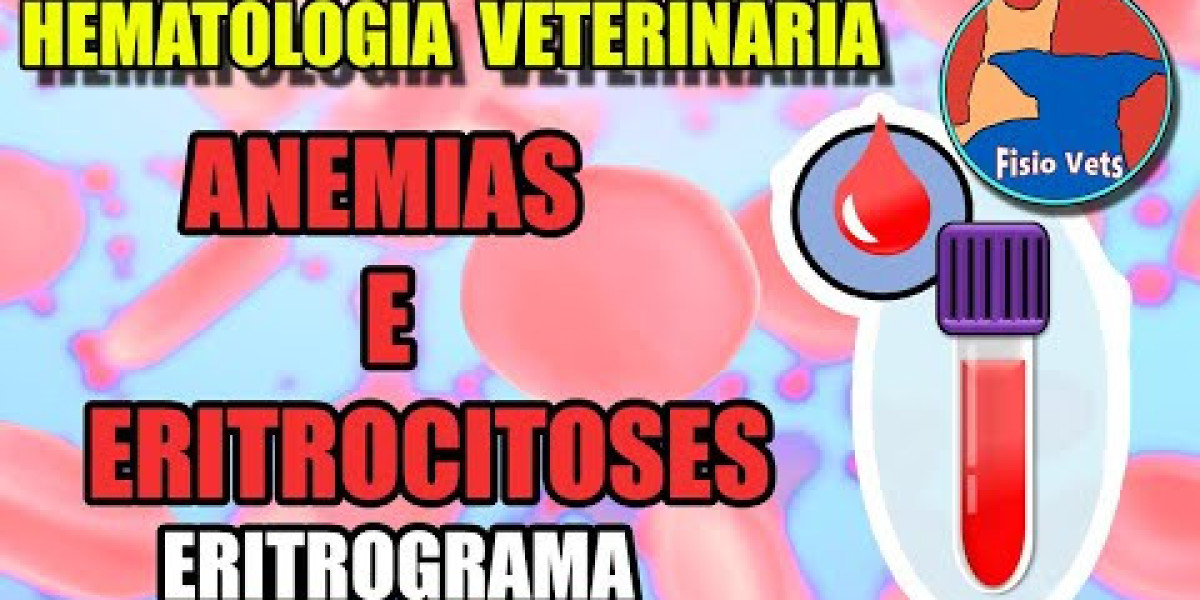 Diagnóstico Precoce em Felinos: A Chave para a Saúde do Seu Gato