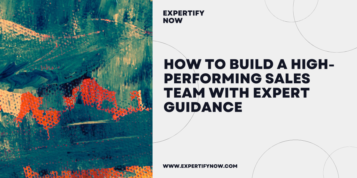 How to Build a High-Performing Sales Team with Expert Guidance