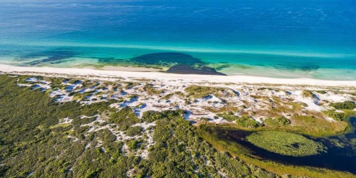 A Perfect Day in Destin: Exploring Henderson Beach State Park and Destin Harbor Boardwalk