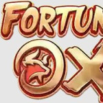 FortuneOx Casino Profile Picture