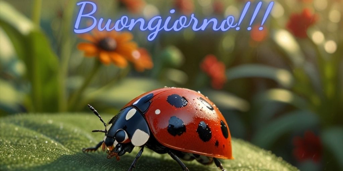 Perché gli italiani amano le coccinelle nelle immagini di buongiorno?