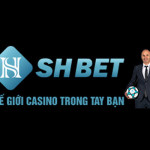 SHBET Casino Profile Picture