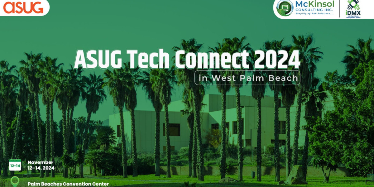 McKinsol Representing iDMX at ASUG Tech Connect 2024