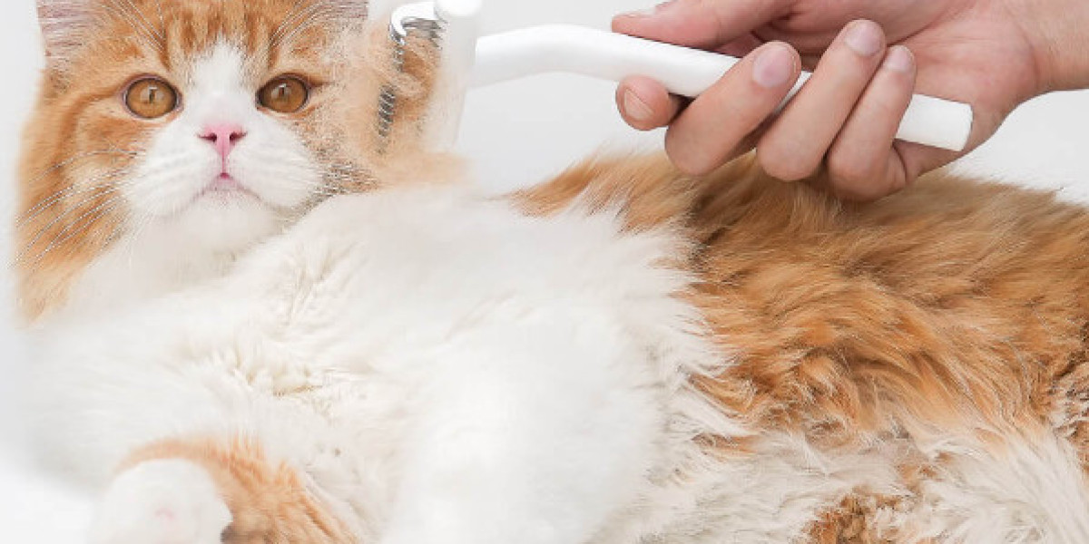 Maximize Your Savings with Aumuca Coupons Code for Cat Grooming.