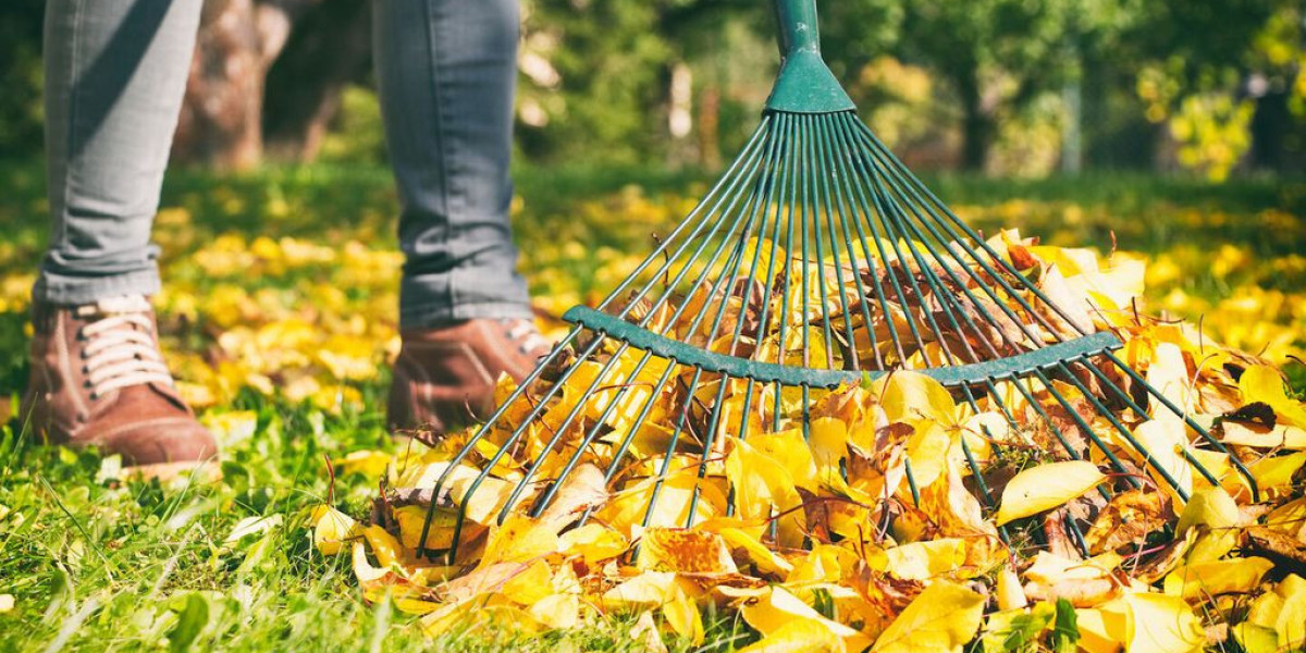 How Lawn Leaf Removal Services Improve Your Yard’s Aesthetic Value