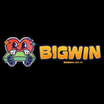 BigWin Online Casino Profile Picture