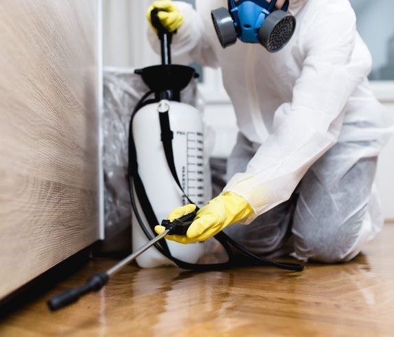 Cockroach Control Melbourne | Hire our Best Services