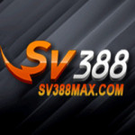 SV388max com Profile Picture