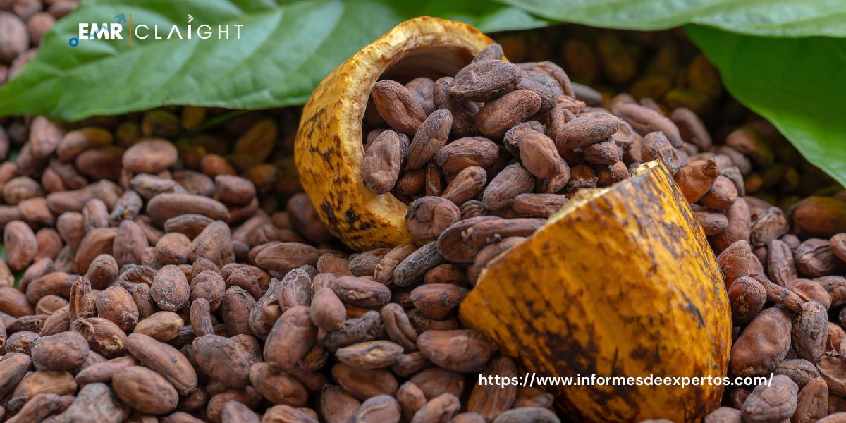 Mercado de Cacao en Colombia: Oportunidades y Retos para el Futuro