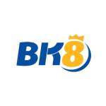 bk8 v03 Profile Picture