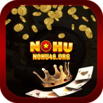 nohu46 org Profile Picture