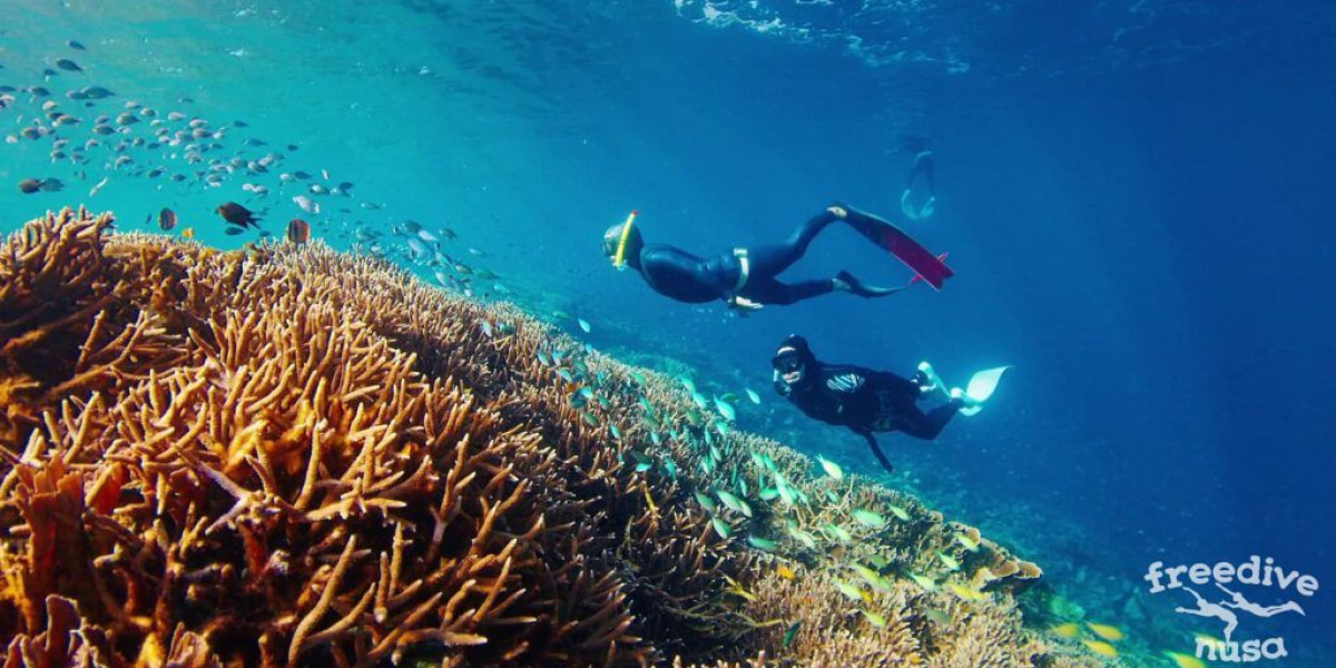 Freediving in Bali