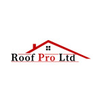 Roof Pro Ltd Profile Picture