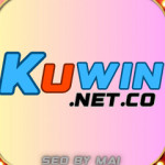 KUWIN net co Profile Picture