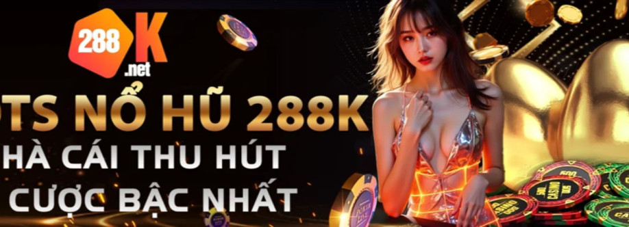 288k Cổng Game Cover Image