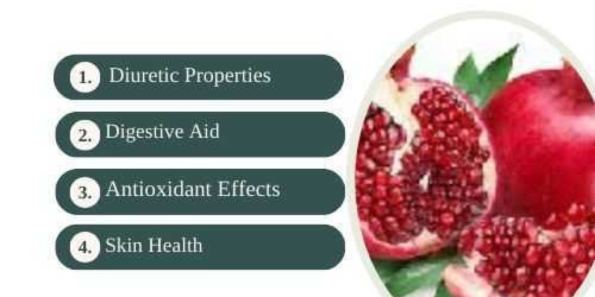 Premium Punica Granatum Extracts Supplier in Minnesota