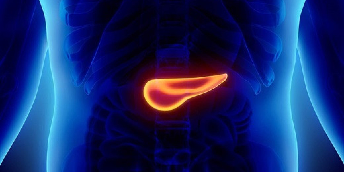 Digestive Woes? Recognizing Symptoms of Pancreas Problems to Protect Your Health