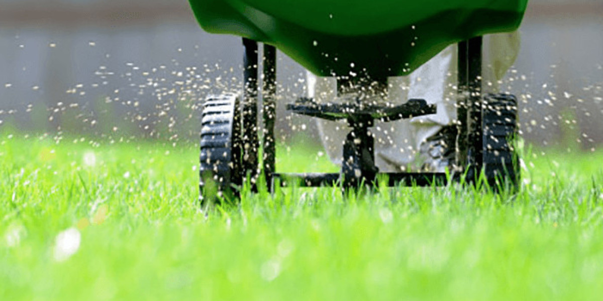 Lawn Care Near Me: Affordable Ways to Keep Your Grass Lush and Green