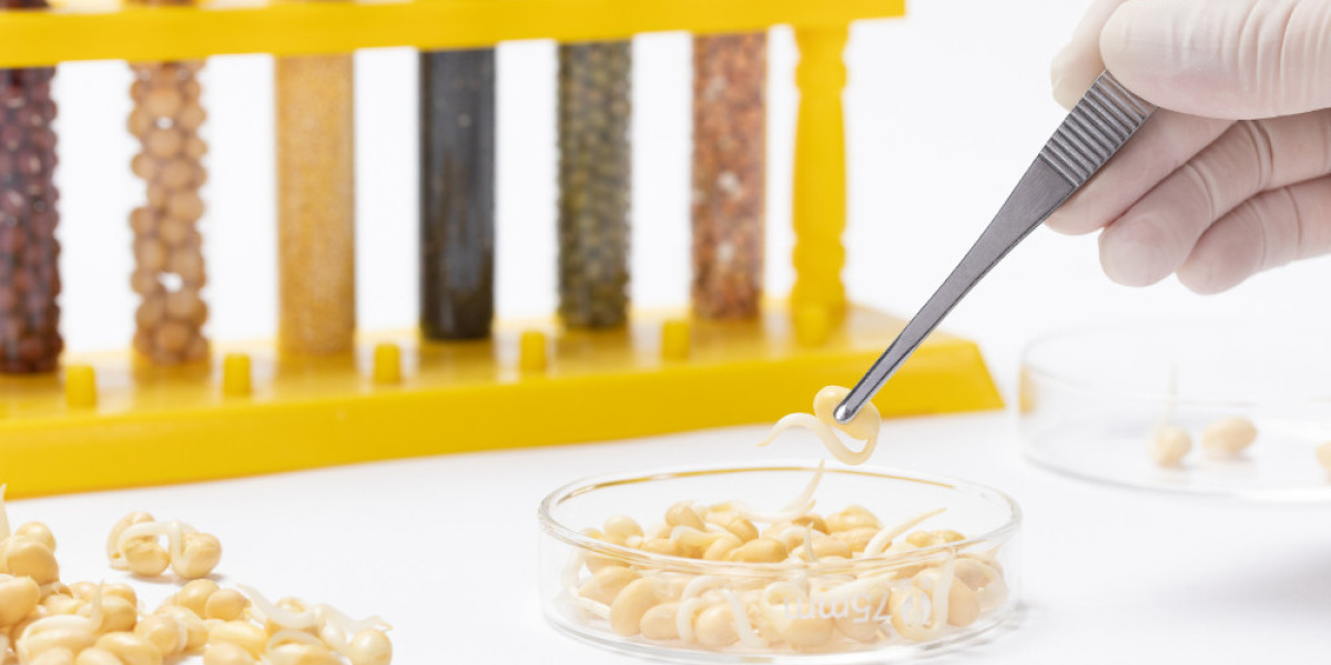 Ensuring Food Safety: The Importance of Food Allergen Testing in Today's Market