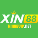 Xin88 Profile Picture