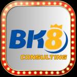 BK8 consulting Profile Picture