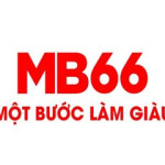 MB66 doctor Profile Picture