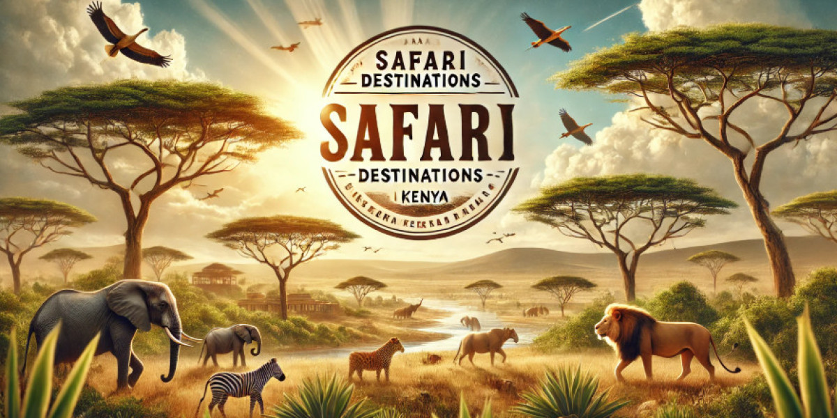 What to know about the Top 11 Safari Destinations in Kenya for an Incredible Wildlife Experience?