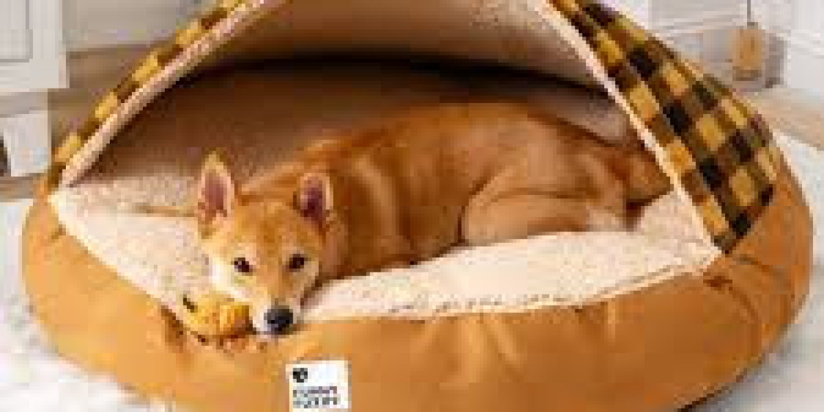 The Ultimate Guide to Choosing the Best Dog Beds for Your Furry Friend