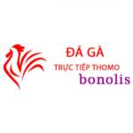 Đá Gà Trực Tiếp Thomo Hôm Nay Profile Picture