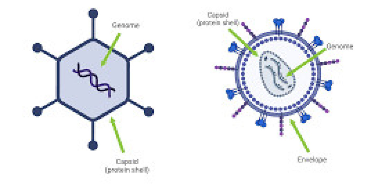 Virus Vectors in Agriculture: Enhancing Crop Resistance and Yield.