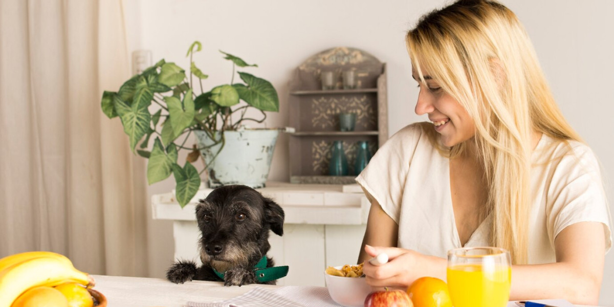 How Online Dog Food Services Can Simplify Your Life