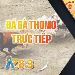 Trực Tiếp Đá Gà Profile Picture