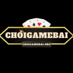 org choigamebai profile picture