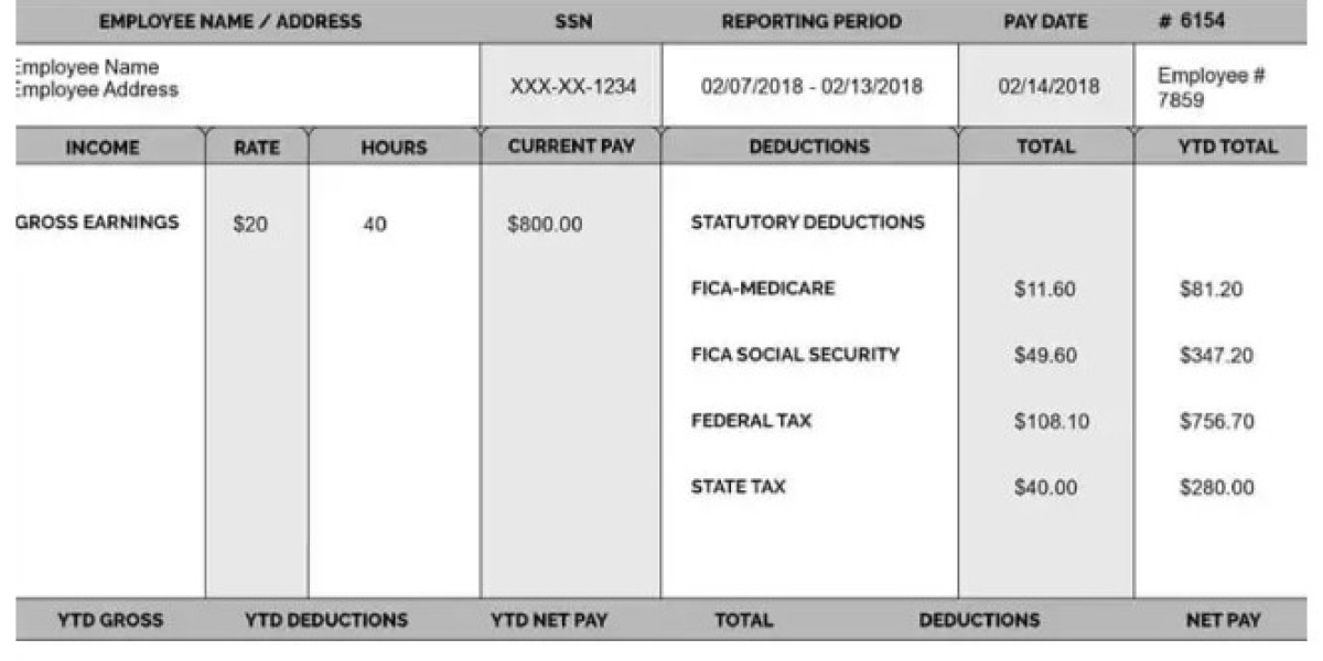 Check Stub Makers: Essential Tools for Accurate Payroll Management in the Tech Industry