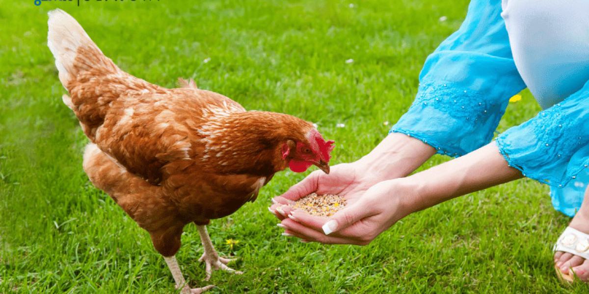 India Animal Feed Market Size & Growth | Share - 2034