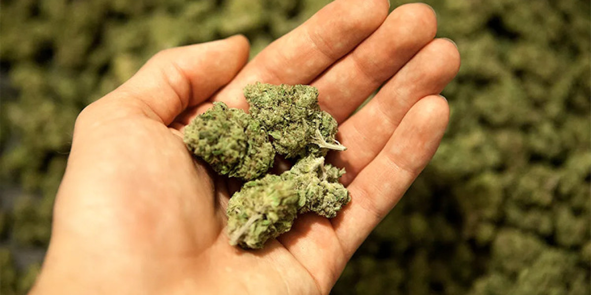 San Jose Weed Delivery Near Me: The Complete Guide