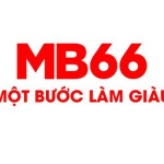 MB66 trading Profile Picture